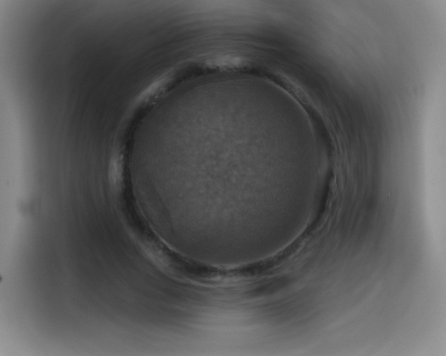 X0000114580735200910191523