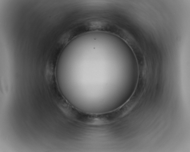 X0000114580737200910191523