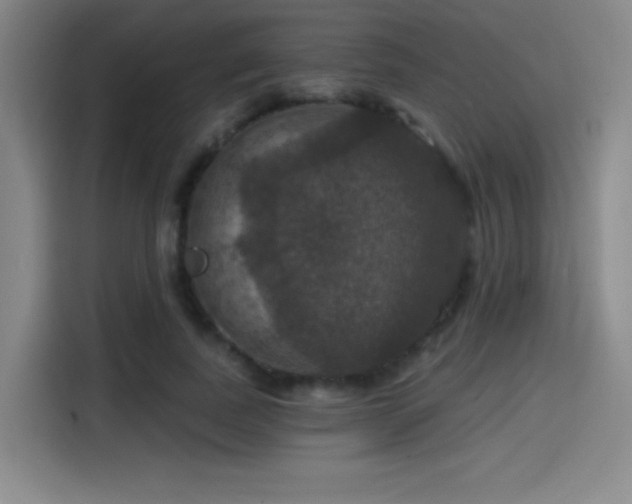 X0000114580739200910191523