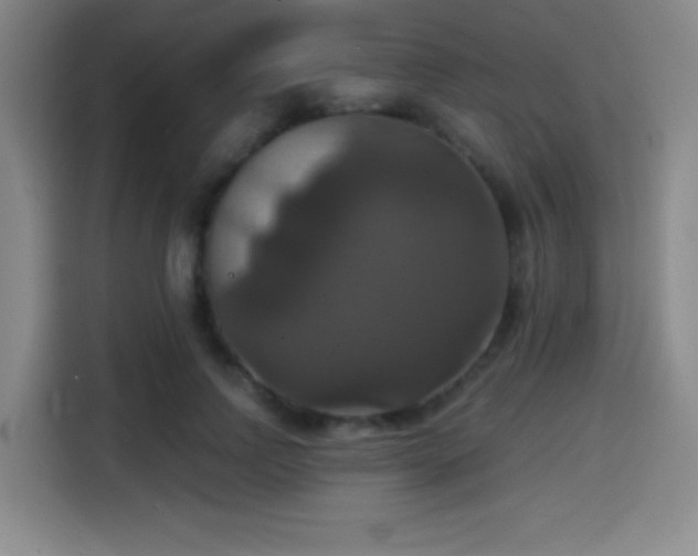 X0000114580742200910191523