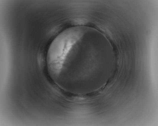 X0000114580743200910191523