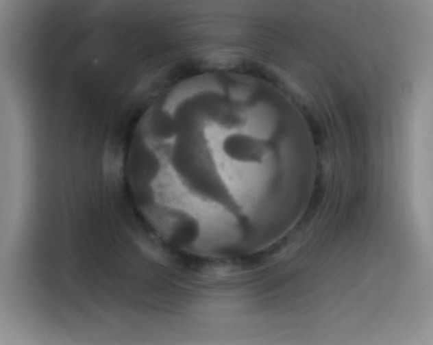 X0000114580745200910191523