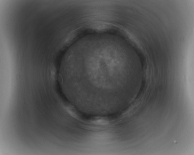 X0000114580750200910191523