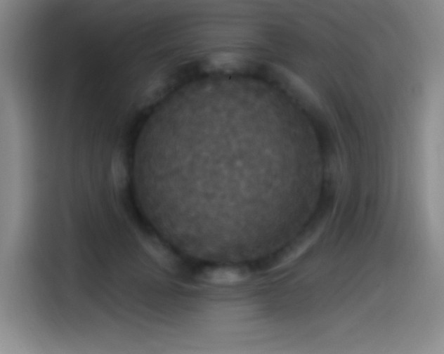 X0000114580751200910191523