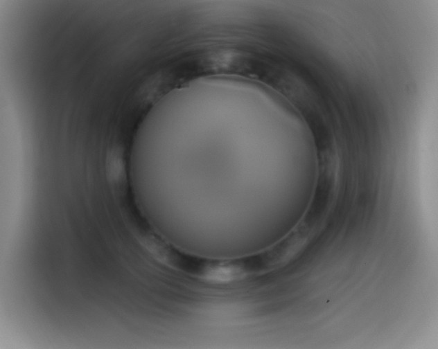 X0000114580754200910191523