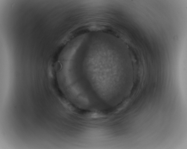 X0000114580755200910191523