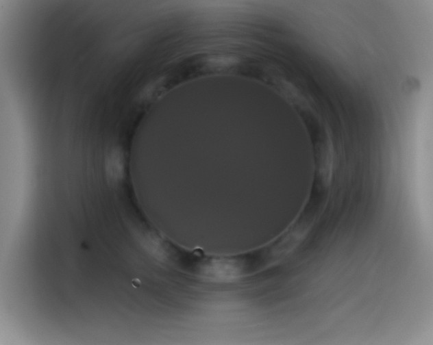 X0000114580758200910191523