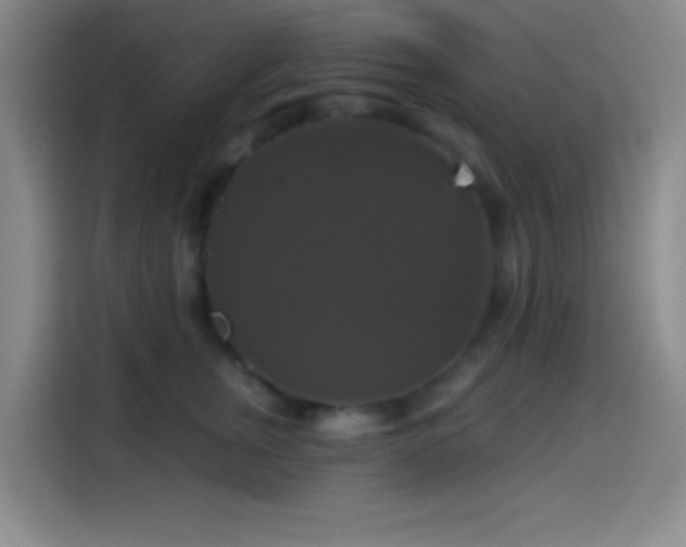 X0000114580759200910191523