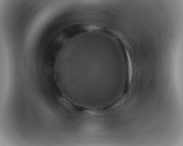 X0000114580763200910191523