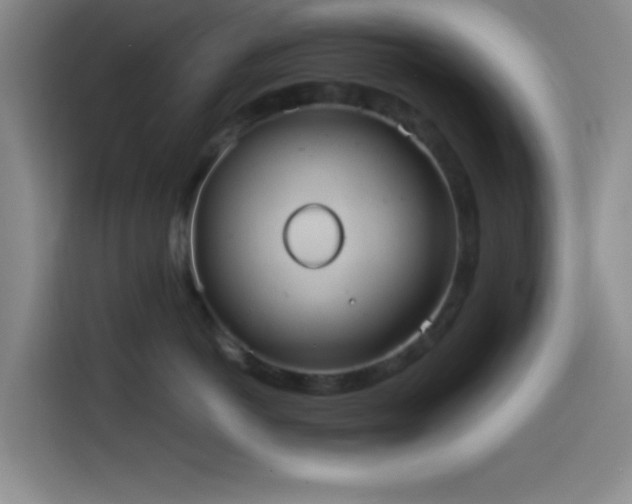 X0000114580766200910191523