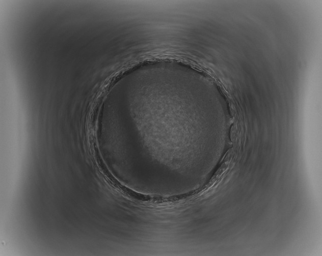 X0000114580769200910191522