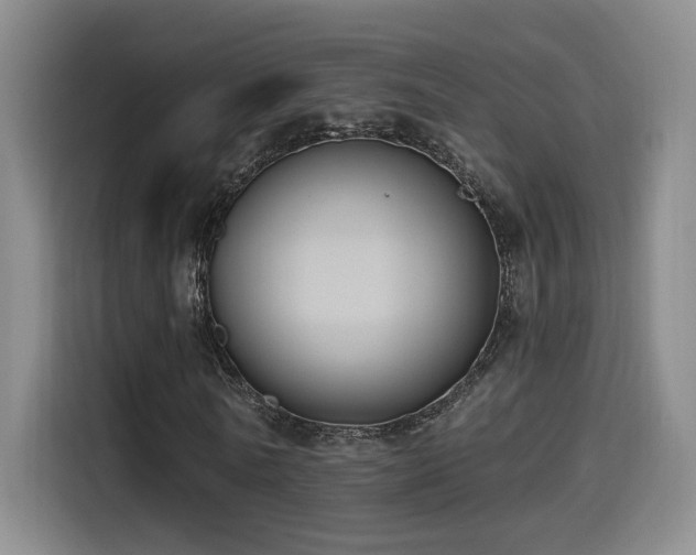 X0000114580770200910191522