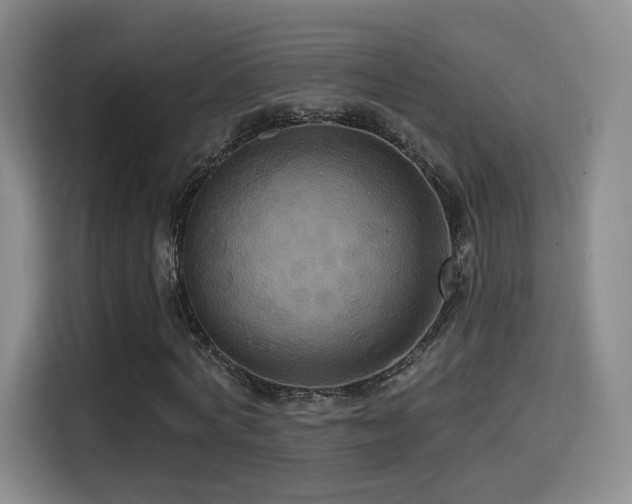 X0000114580772200910191522