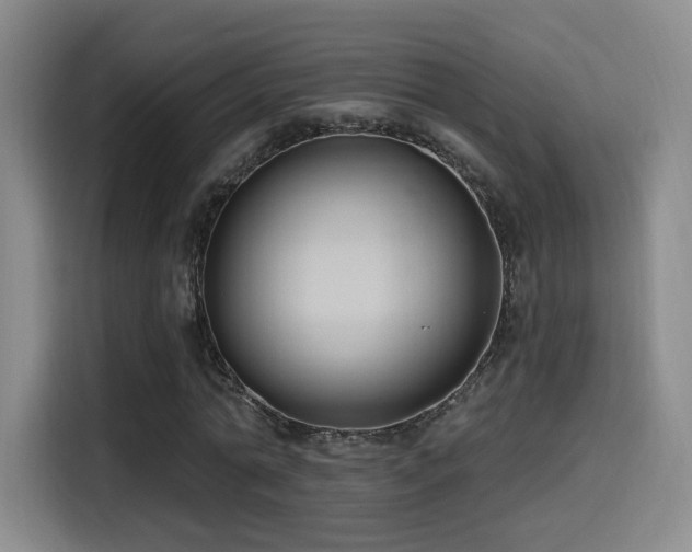 X0000114580774200910191522