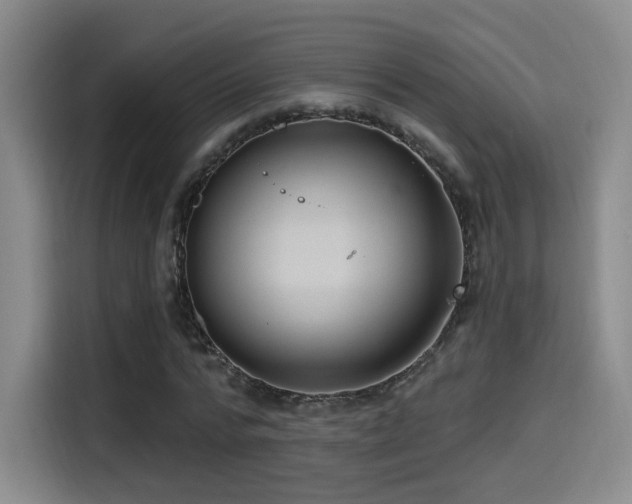 X0000114580776200910191522