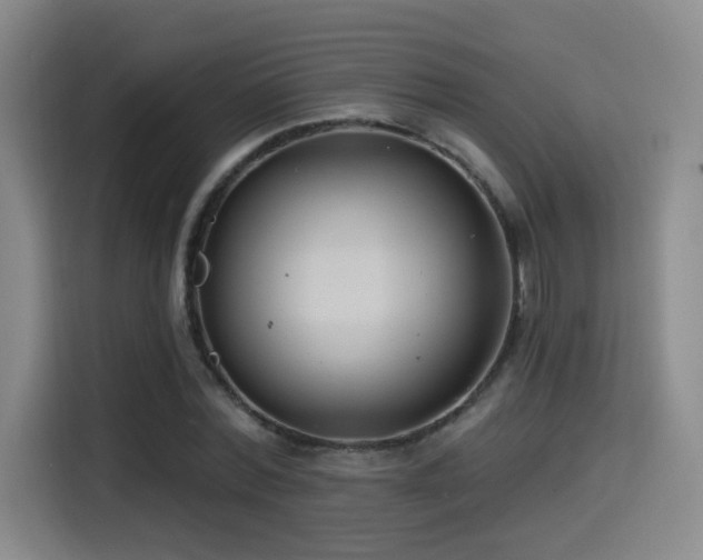 X0000114580780200910191522