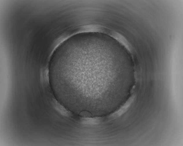 X0000114580781200910191522