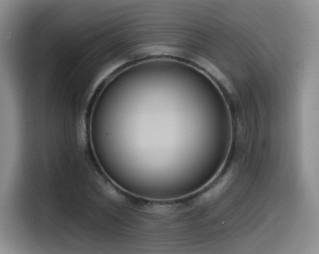 X0000114580782200910191522