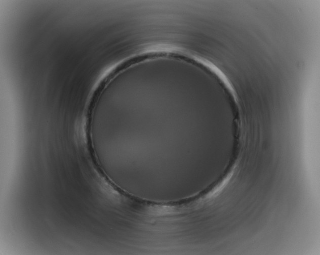 X0000114580783200910191522