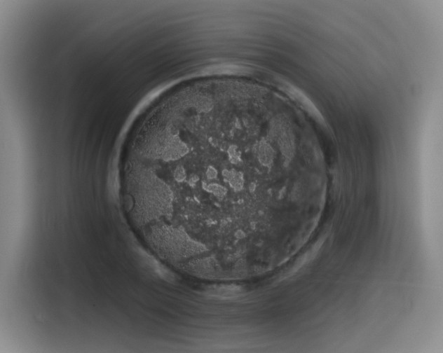 X0000114580784200910191522