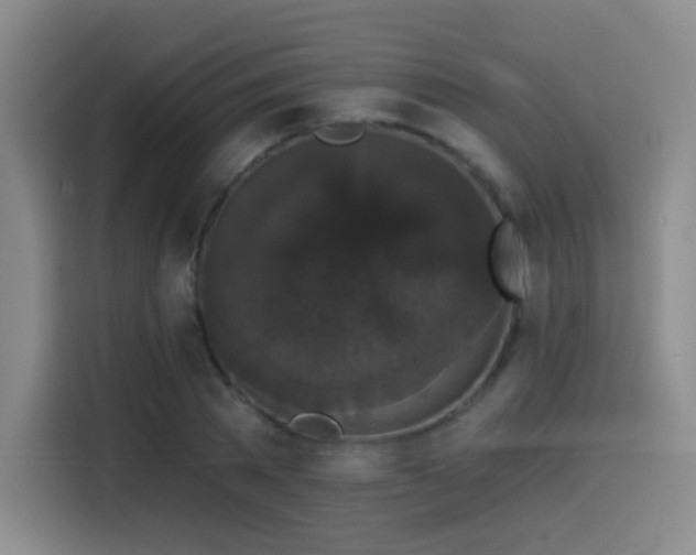 X0000114580785200910191522