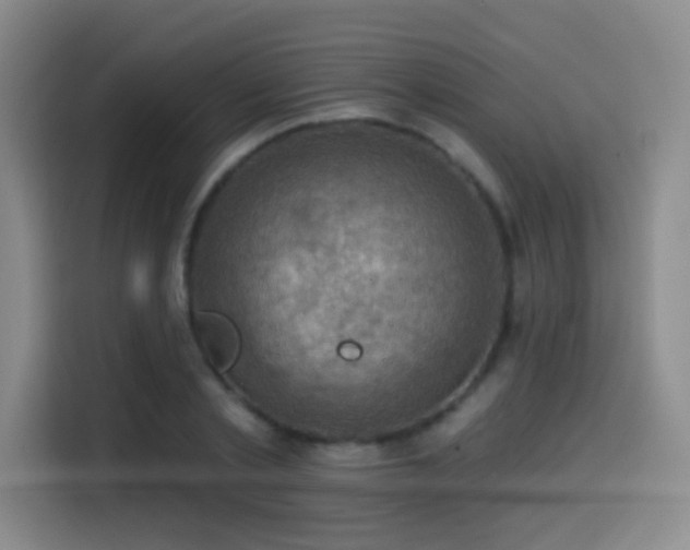 X0000114580789200910191522