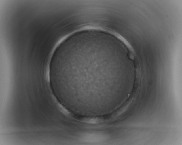 X0000114580791200910191522