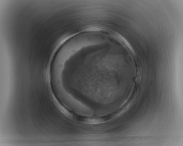 X0000114580795200910191522