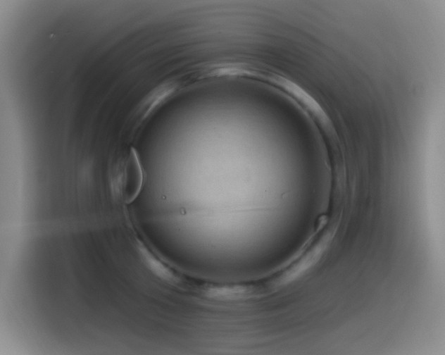 X0000114580801200910191522