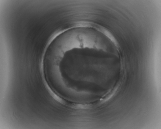 X0000114580803200910191522