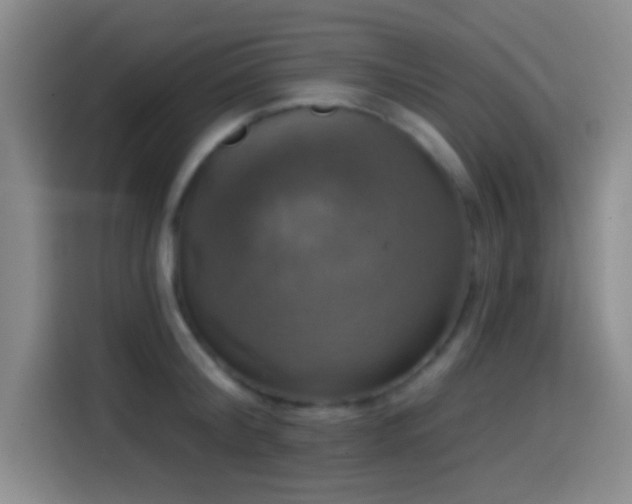 X0000114580804200910191522