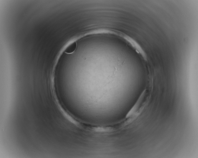 X0000114580805200910191522