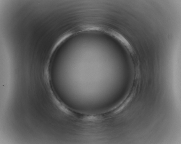 X0000114580806200910191522