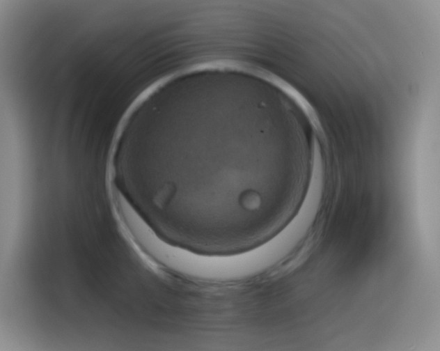 X0000114580807200910191522