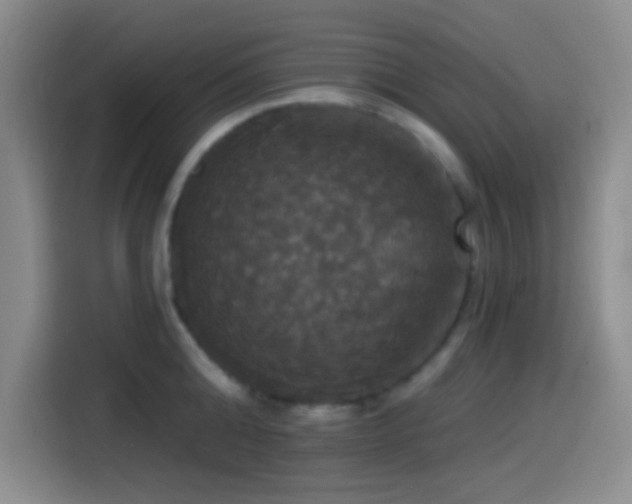 X0000114580808200910191522