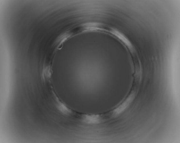 X0000114580809200910191522