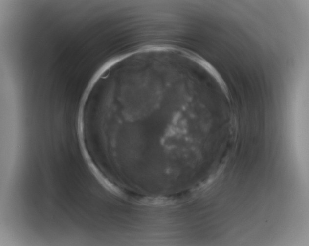 X0000114580811200910191522