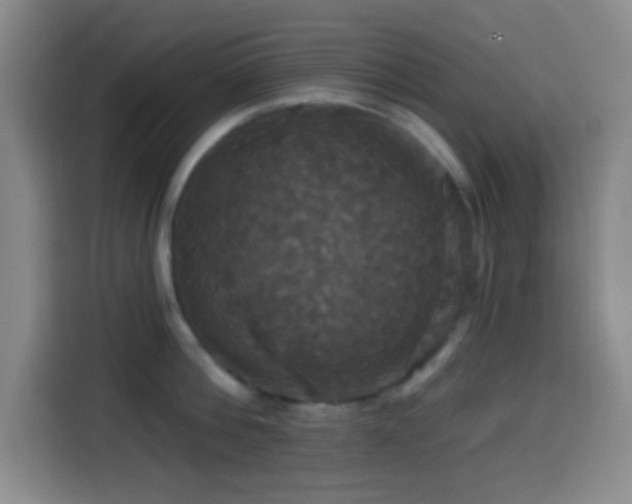 X0000114580812200910191522