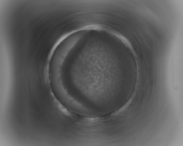 X0000114580816200910191522