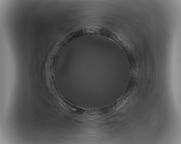 X0000114580817200910191521