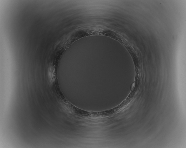 X0000114580818200910191521