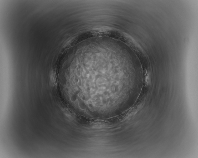 X0000114580819200910191521