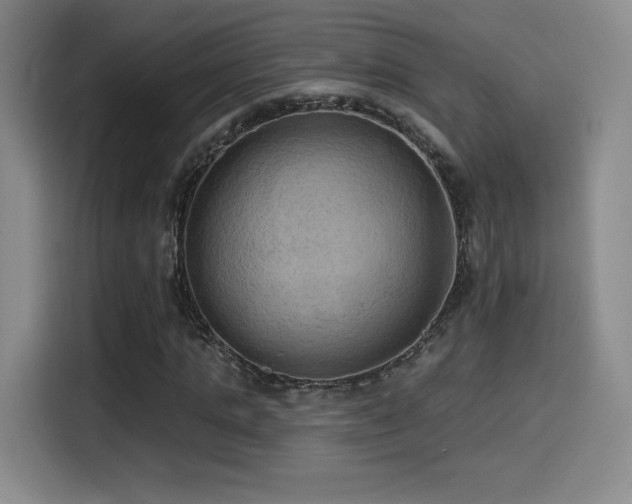 X0000114580821200910191521