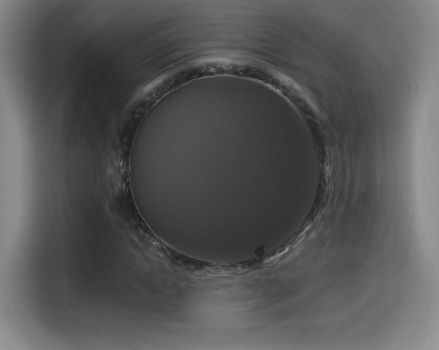 X0000114580822200910191521