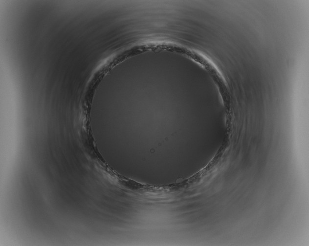 X0000114580823200910191521