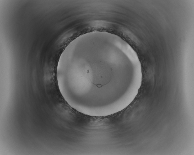 X0000114580824200910191521