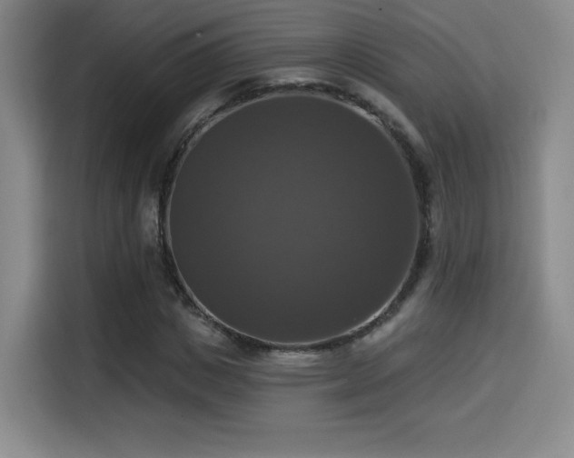 X0000114580825200910191521