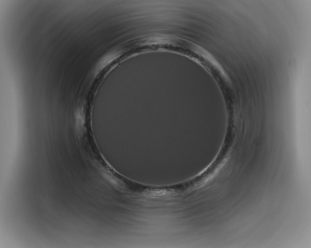 X0000114580826200910191521