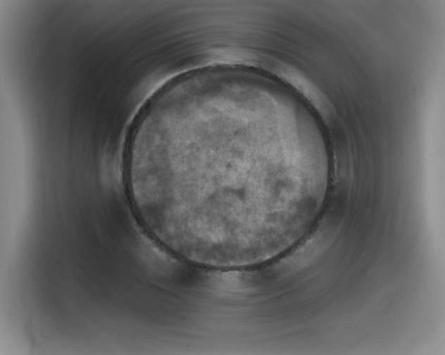 X0000114580828200910191521