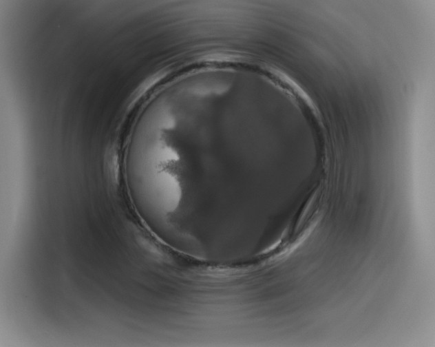 X0000114580829200910191521